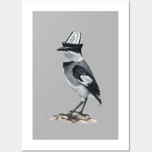 White-tailed Shrike Posters and Art